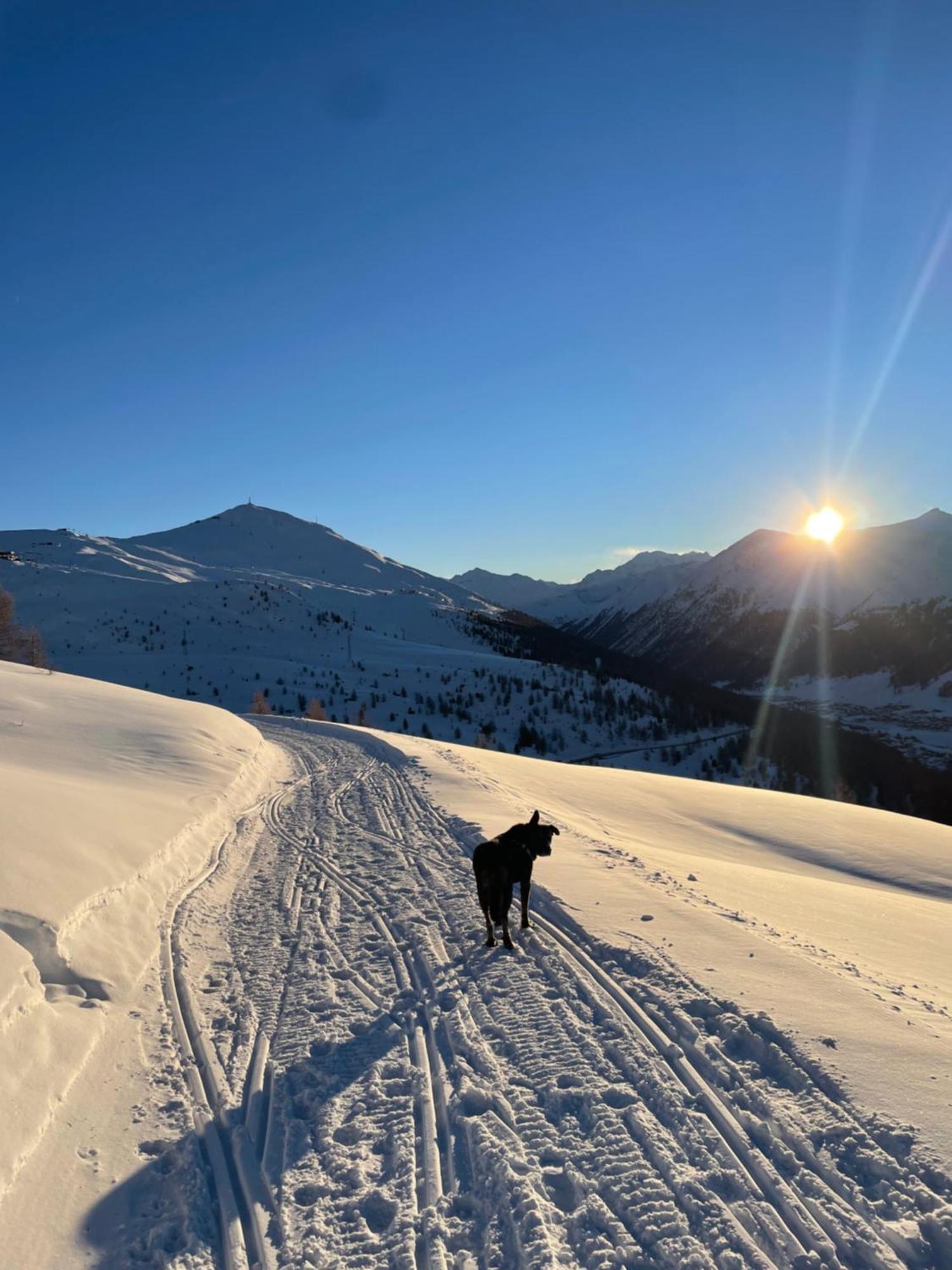 Residence S Lucia - Appartamenti Alle Porte Di Bormio فالديسوتو المظهر الخارجي الصورة